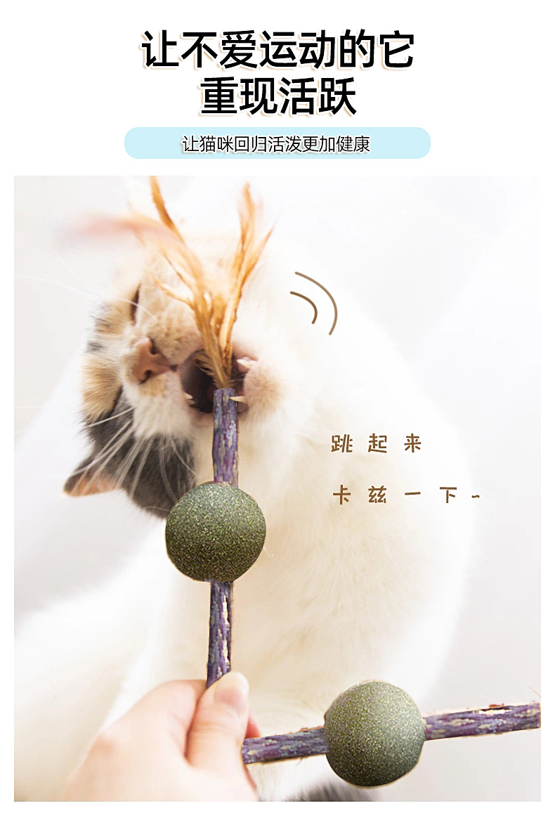 寵物用品,貓薄荷球,貓玩具