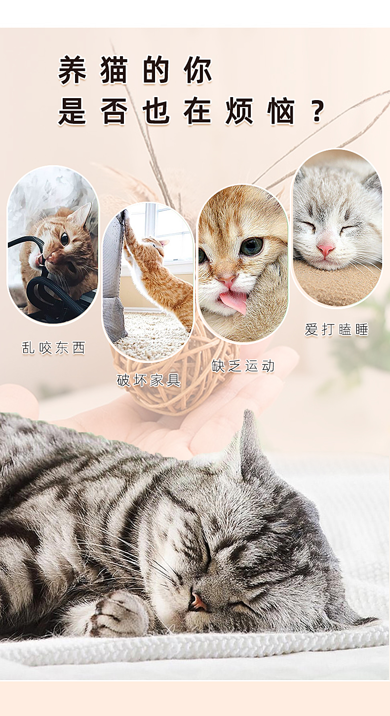 寵物用品,貓薄荷球,貓玩具